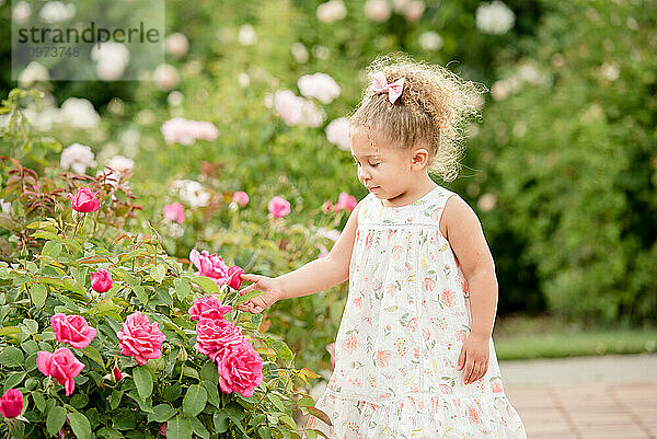 Toddler girl touching roses in garden