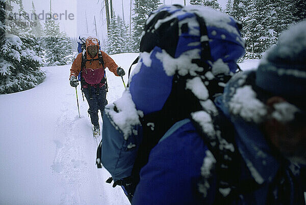 Skiing backcountry in the Rocky Mountains.