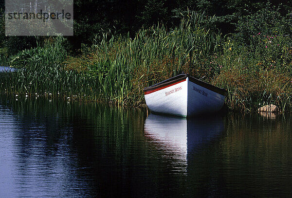 Quiet pond