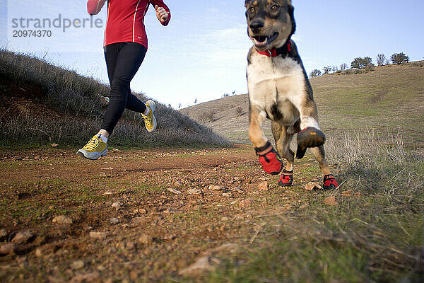 Young woman trail-running with dog in the Sierra Nevada foothills near Auburn  CA.