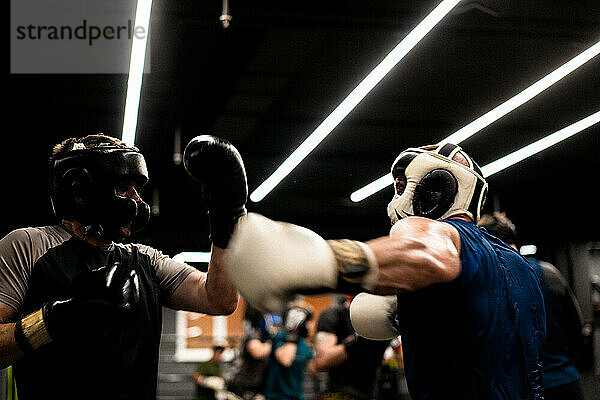 Boxers fighting in boxing training in the gym.