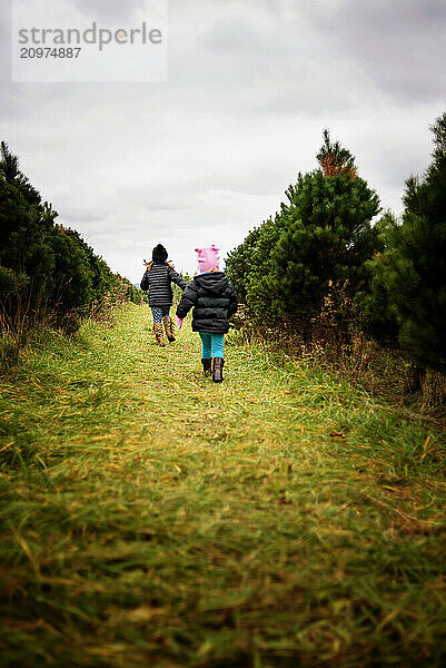 Young sisters running through pine tree farm at Christmas