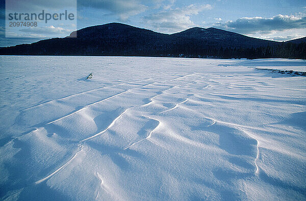 Frozen pond.