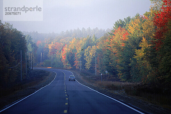 Autumn Road fall colors trees driving