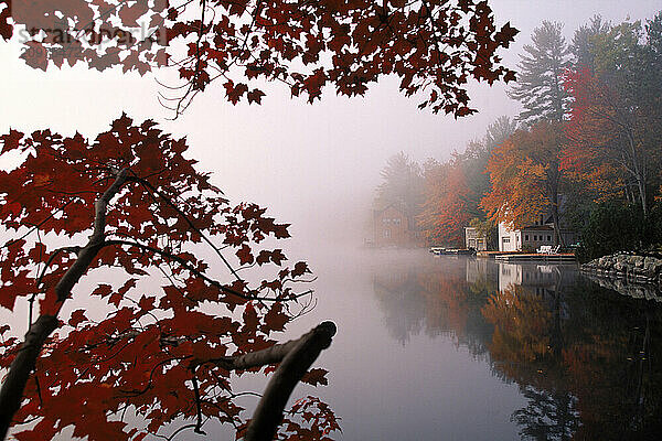 A lake in fall.