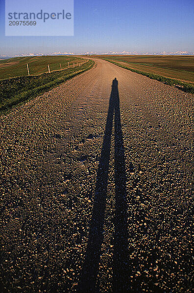 A long shadow on a rural road.