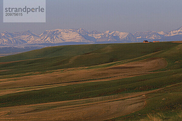 Rolling fields.