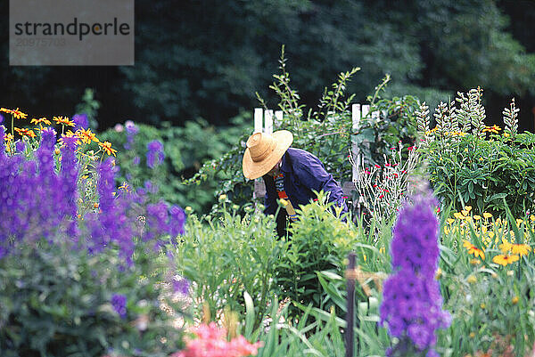 Tending a flower garden.