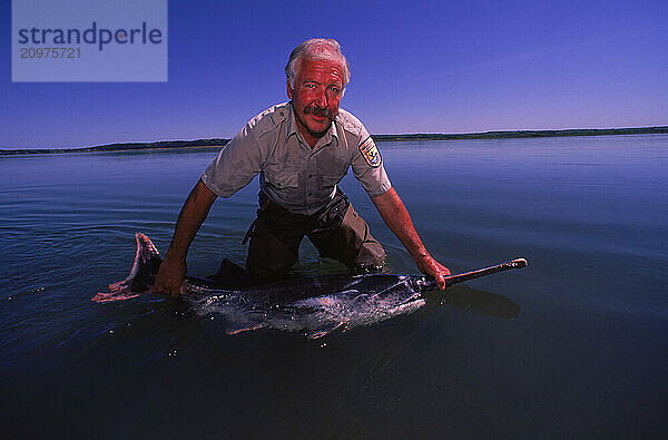 Releasing a paddlefish.