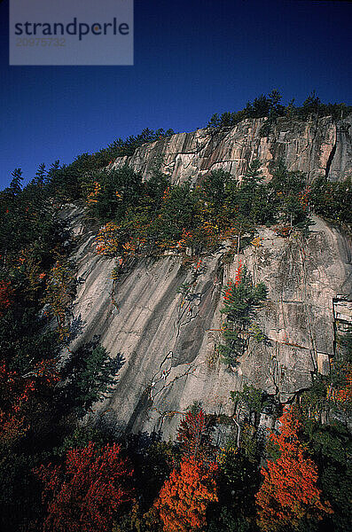 White Mountains in Fall.