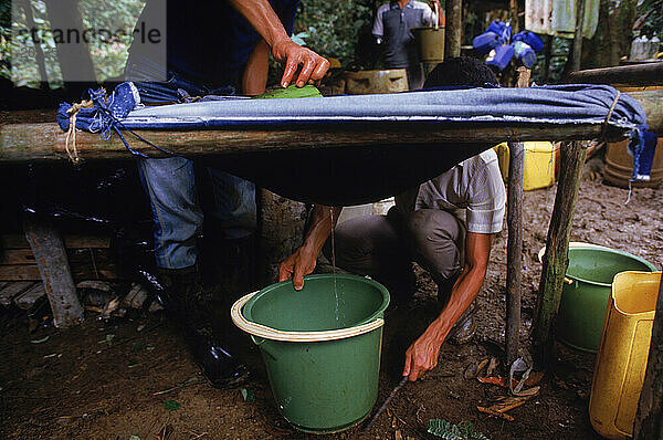 Making cocaine  Colombia.