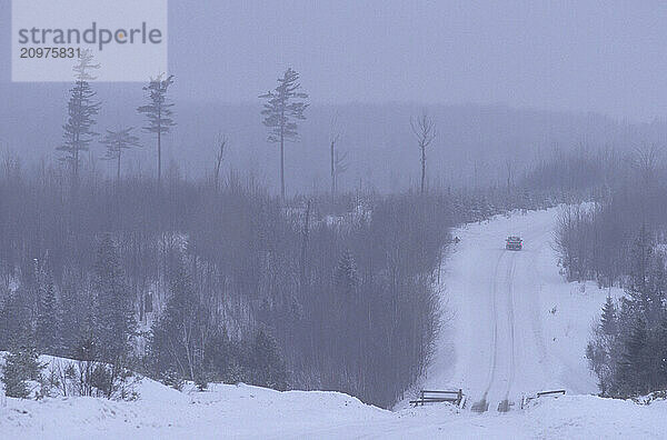 Logging Road.