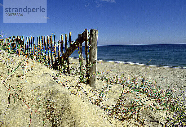 Beach  Cape Cod  MA USA