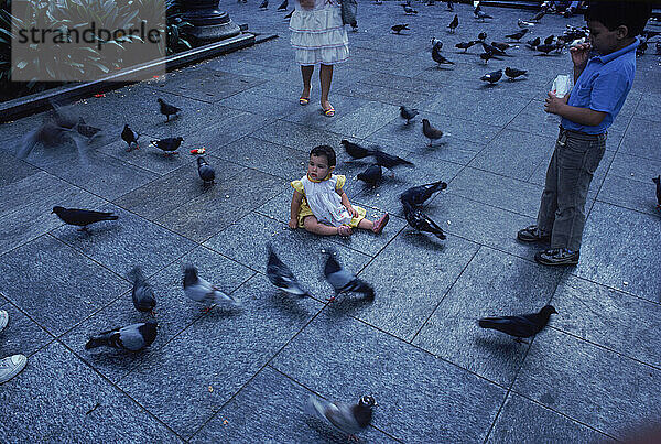 A child with pigeons.