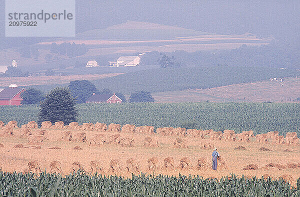 Amish country.