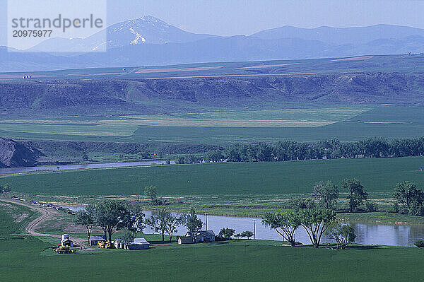 Grain fields in Montana.