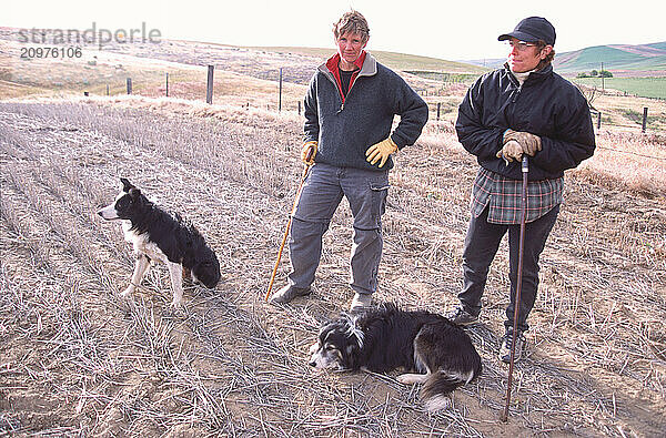 Two men with their dogs.