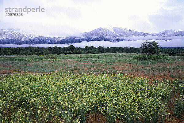 Mountain scenic.