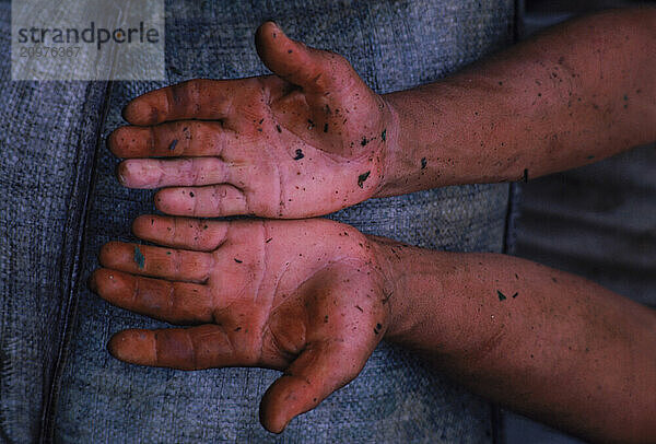 Worker's Hands  Colombia.