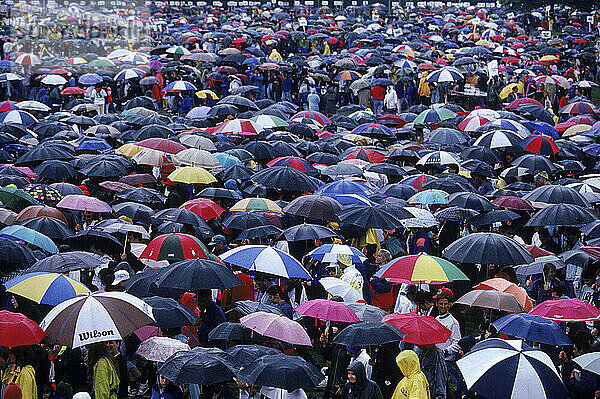 Umbrellas  Central Park  NYC  NY USA