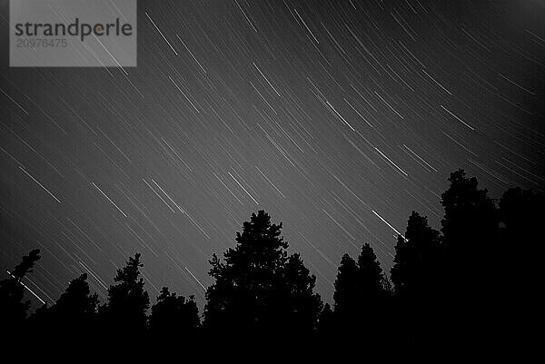 A 45 minute exposure reveals the earths rotation as stars are set into motion over a high altitude treeline in Boulder  Colorado.