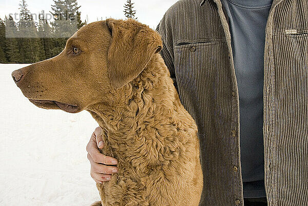 Man and dog sitting together outside on winter day  San Juan National Forest  Colorado.