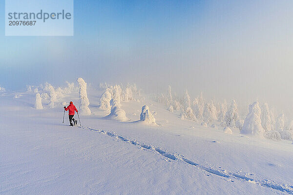 Hiker snowshoeing in the snowy winter scenery of Finnish Lapland