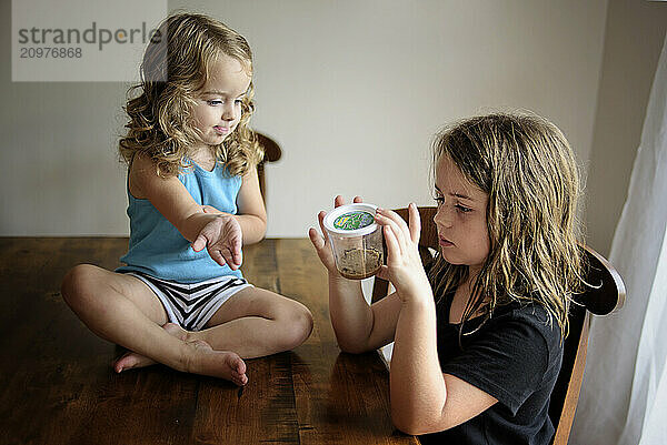 Young sisters looking at caterpillars