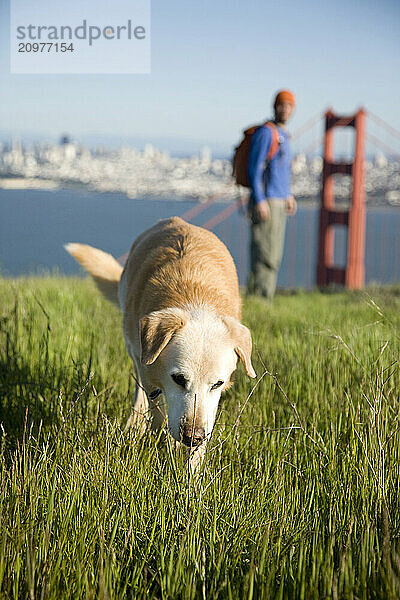 Young man hiking in the Marin Headlands. Golden Gate National Recreation Area. San Francisco  CA