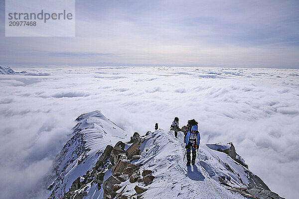 Mountaineering team ascending the West Buttress ridge of Denali  Alaska  USA  above the clouds