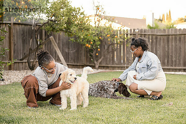 Two ladies petting two dogs in the grass