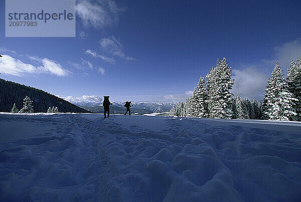 Skiing backcountry in the Rocky Mountains.