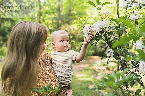 Mom holds toddler boy as he reaches for white flowers