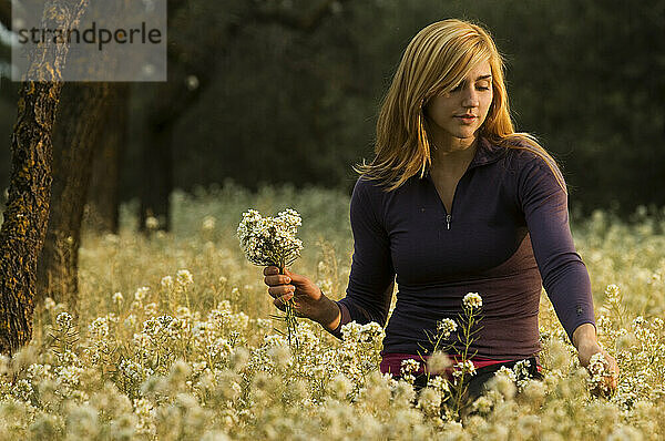 A women picking flowers in an orchard field of blooming white flowers in Lleida Spain.