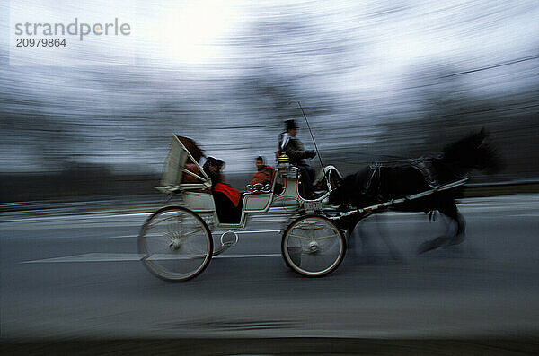 Horse Carriages. (motion blur)