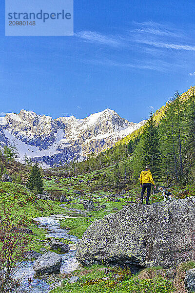 Hiker man on rocks playing with a Beagle dog near a mountain creek