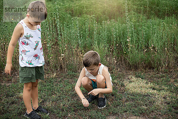 two boys exploring and observing nature in grassy field