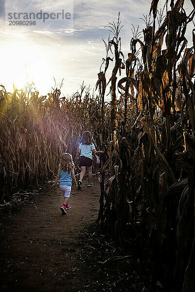 Young sisters walking through corn field on sunny evening