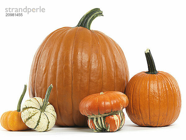 Pumpkins and gourds still life isolated on white background