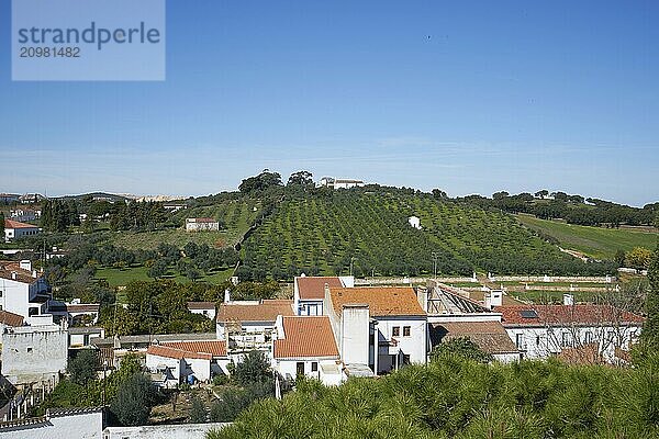 View of Vila Vicosa Castle in the Alentejo  Portugal  Europe