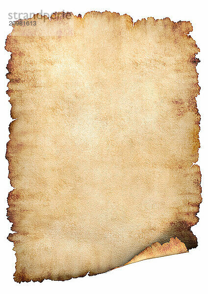 Old rough antique vertical parchment paper texture background isolated on white