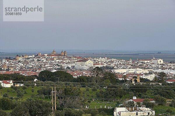 Evora city historic buildings and church view at sunset from a viewpoint on the outside in Alentejo  Portugal  Europe