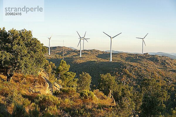 Sortelha nature landscape view with mountains  trees  boulders and wind turbines at sunset  in Portugal