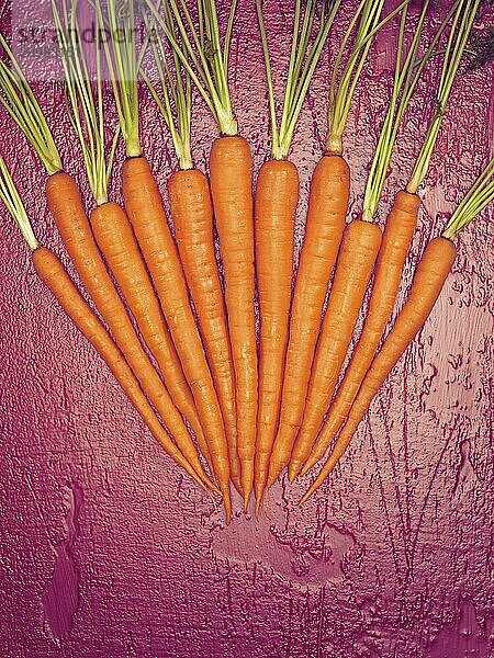 Artistic colorful food still life of orange carrots arranged on grungy red background