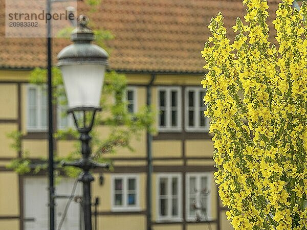 Bright yellow flowers stand in front of an old building and a lantern on a sunny day  ystad  sweden  baltic sea  scandinavia