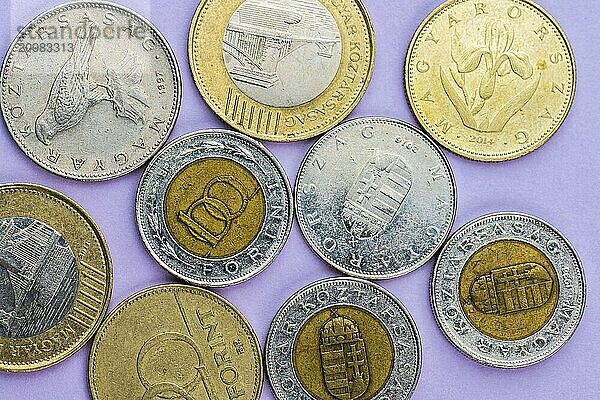 Assortment of Hungarian forint coins on purple background