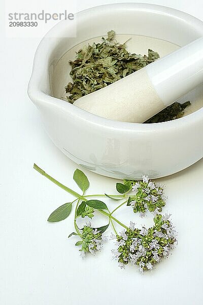 Dried oregano in a grating bowl and a sprig of flowering oregano  Origanum vulgare