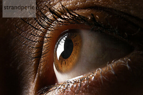 Brown female eye macro photography. Eyesight vision biometrics concept in low key