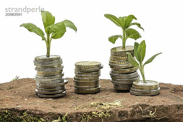 Small plants grow out of stacked money coins on a sandstone cut out on white