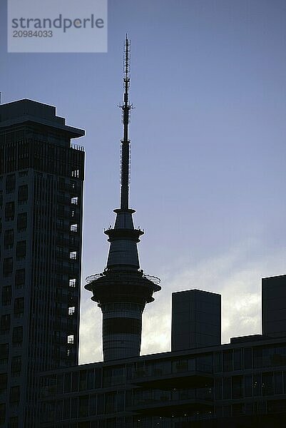 The Sky Tower is silhouetted on the Auckland skyline  Northland  New Zealand  Oceania